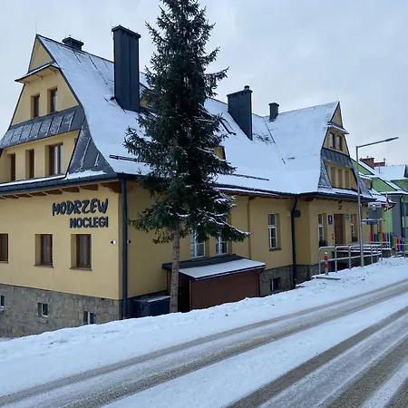 Modrzew - W Pyzowce Pyzowka