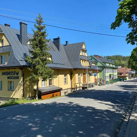 Modrzew - W Pyzowce Aparthotel *