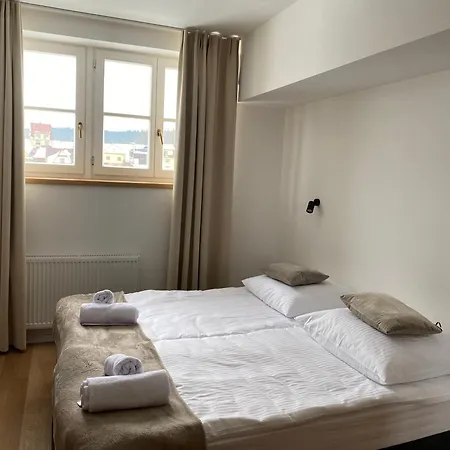Modrzew - W Pyzowce Aparthotel *