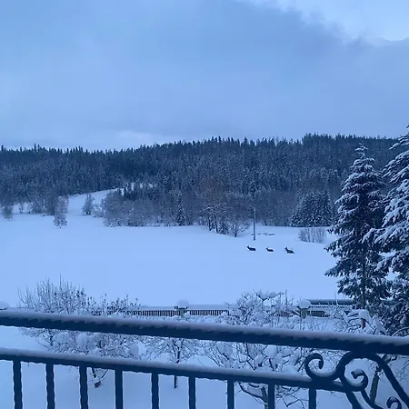 Aparthotel Modrzew - W Pyzowce Pyzowka