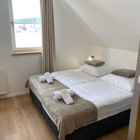 Modrzew - W Pyzowce Aparthotel Pyzowka