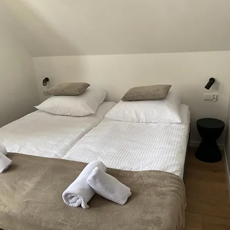 Modrzew - W Pyzowce Aparthotel Pyzowka