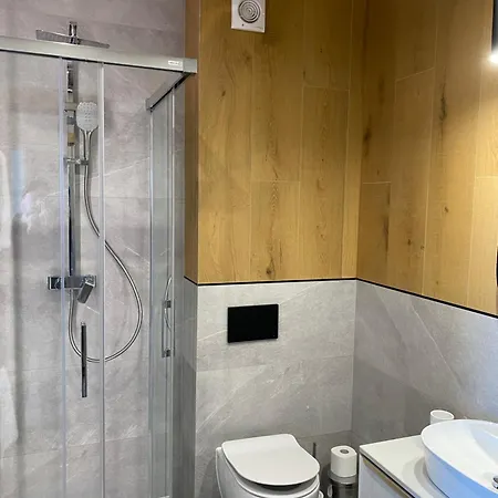 Modrzew - W Pyzowce Aparthotel Pyzowka