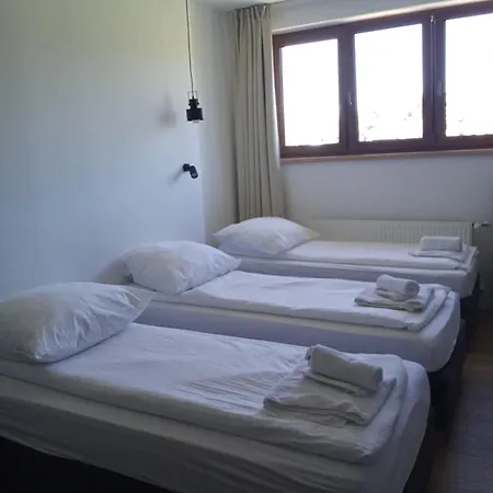 Aparthotel Modrzew - W Pyzowce 3*
