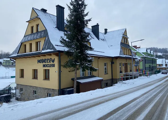 Modrzew - W Pyzowce Pyzowka