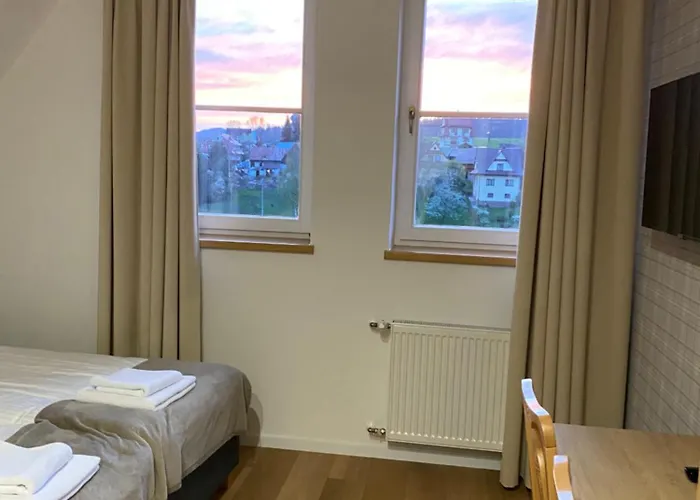 Aparthotel Modrzew - W Pyzowce Pyzowka