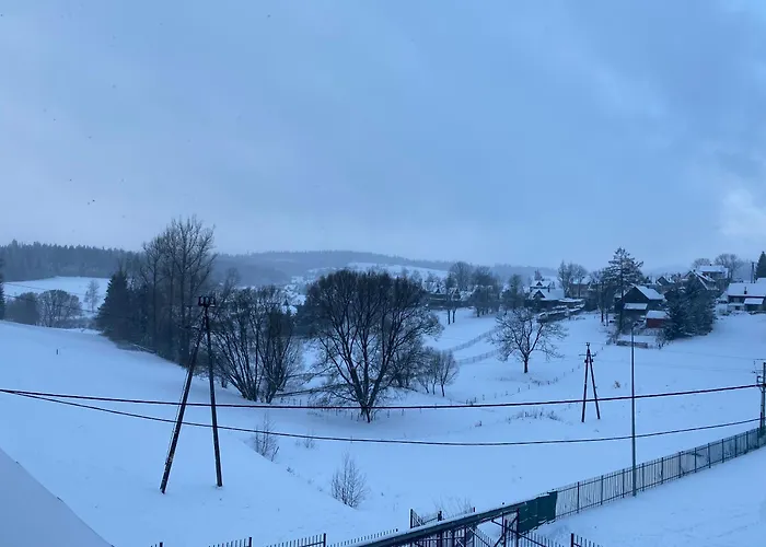 Aparthotel Modrzew - W Pyzowce