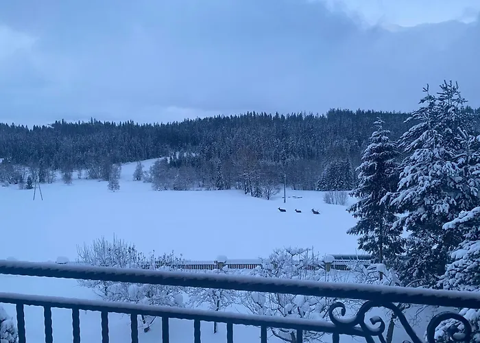 Aparthotel Modrzew - W Pyzowce Pyzowka