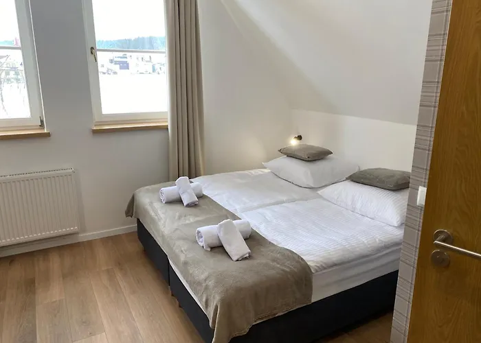 Modrzew - W Pyzowce Aparthotel Pyzowka