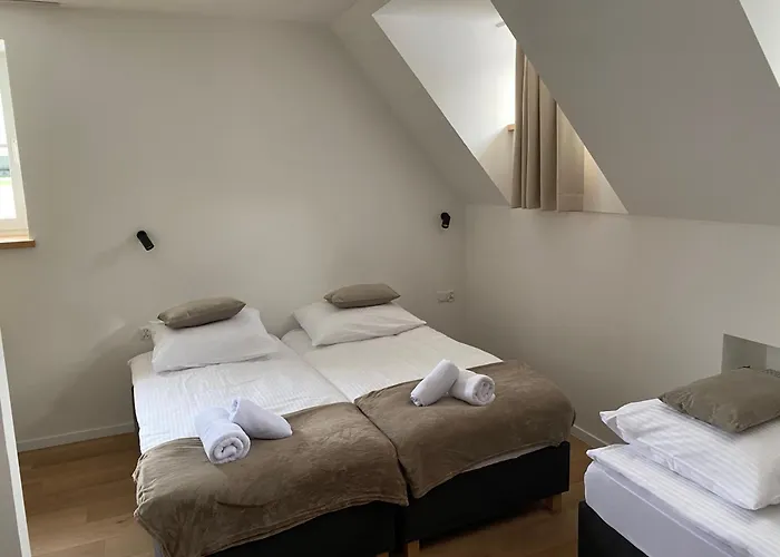 Modrzew - W Pyzowce 3* Pyzowka