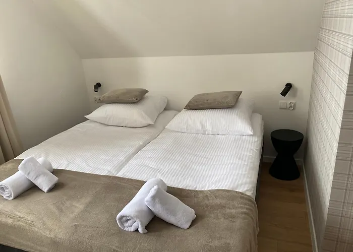 Modrzew - W Pyzowce Aparthotel Pyzowka