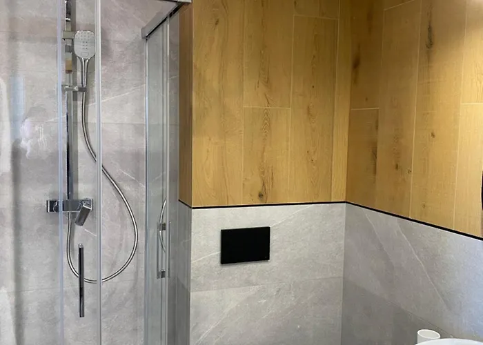 Modrzew - W Pyzowce Aparthotel Pyzowka