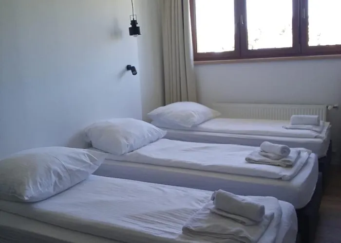 Aparthotel Modrzew - W Pyzowce 3*